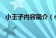 小王子内容简介（小王子主要内容100字）