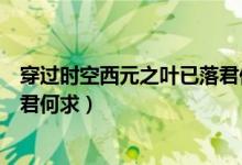 穿过时空西元之叶已落君何求漫画（穿过时空西元之叶已落君何求）