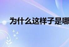 为什么这样子是哪首歌（为什么这样子）