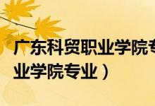 广东科贸职业学院专业代码查询（广东科贸职业学院专业）