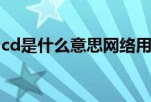 cd是什么意思网络用语（cd什么意思网络上）