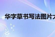 华字草书写法图片大全庐（华字草书写法）