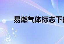 易燃气体标志下的2（易燃气体标志）