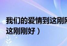 我们的爱情到这刚刚好下一句（我们的爱情到这刚刚好）