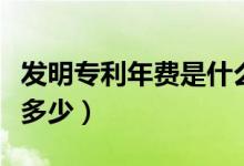 发明专利年费是什么意思（发明专利的年费是多少）