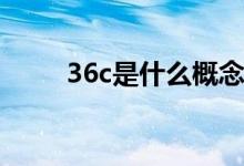 36c是什么概念图片（36e是多大）