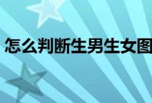 怎么判断生男生女图片（怎么判断生男生女）