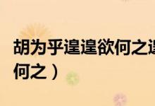 胡为乎遑遑欲何之遑遑的意思（胡为乎遑遑欲何之）
