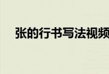 张的行书写法视频教程（张的行书写法）
