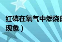 红磷在氧气中燃烧的现象（硫在氧气中燃烧的现象）