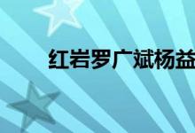 红岩罗广斌杨益言（罗广斌杨益言）