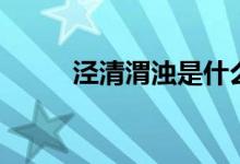 泾清渭浊是什么意思（泾清渭浊）