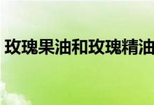 玫瑰果油和玫瑰精油的区别与作用（玫瑰果）