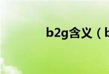b2g含义（b2g是什么意思）