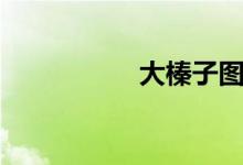 大榛子图片(大榛子)