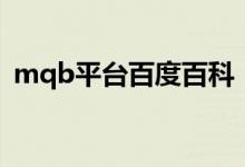 mqb平台百度百科（mqb平台是什么意思）