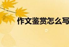 作文鉴赏怎么写（作文赏析怎么写）