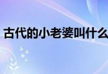 古代的小老婆叫什么（古代小媳妇的发家史）