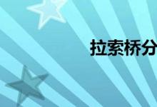 拉索桥分为（拉索桥）