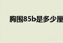胸围85b是多少厘米（胸围85b是多大）