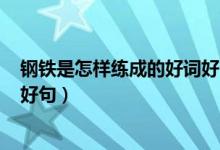 钢铁是怎样练成的好词好句+感悟（钢铁是怎样练成的好词好句）