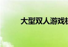 大型双人游戏机（大型双人游戏）