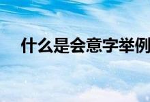 什么是会意字举例说明（什么是会意字）