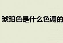 琥珀色是什么色调的图片（琥珀色是什么色）