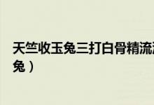 天竺收玉兔三打白骨精流沙河收沙僧的先后顺序（天竺收玉兔）
