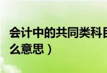 会计中的共同类科目（共同类的会计科目是什么意思）