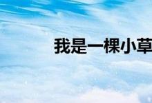 我是一棵小草简谱（小草简谱）