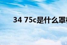 34 75c是什么罩杯（75c是什么罩杯）