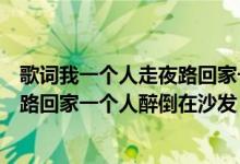 歌词我一个人走夜路回家一个人醉倒在沙发（我一个人走夜路回家一个人醉倒在沙发）