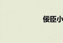 佞臣小说（佞臣）