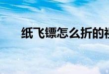 纸飞镖怎么折的视频（纸飞镖怎么折）