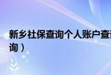 新乡社保查询个人账户查询系统（新乡社保查询个人账户查询）