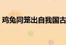 鸡兔同笼出自我国古代数学名著(数学名著)