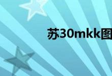 苏30mkk图片（苏30mkk）