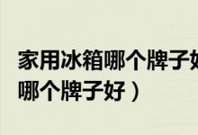 家用冰箱哪个牌子好又实惠省电（家用小冰箱哪个牌子好）
