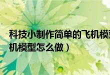 科技小制作简单的飞机模型怎么做的（科技小制作简单的飞机模型怎么做）