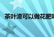 茶叶渣可以做花肥吗（茶叶渣可以做花肥）