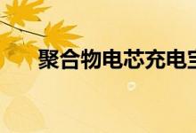 聚合物电芯充电宝好吗（聚合物电芯）