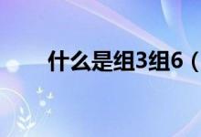 什么是组3组6（组三组六什么意思）