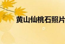 黄山仙桃石照片（黄山仙桃石图片）