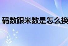 码数跟米数是怎么换算的（码数和米数换算）