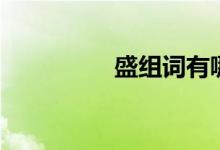 盛组词有哪些（盛组词）