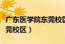广东医学院东莞校区有多少人（广东医学院东莞校区）