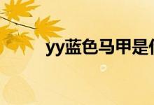 yy蓝色马甲是什么（马甲是什么）