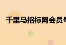 千里马招标网会员号（千里马招标网会员）