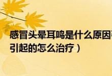 感冒头晕耳鸣是什么原因引起的怎么治疗（耳鸣是什么原因引起的怎么治疗）